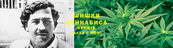 ГАЛЛЮЦИНОГЕННЫЕ ГРИБЫ Абаза