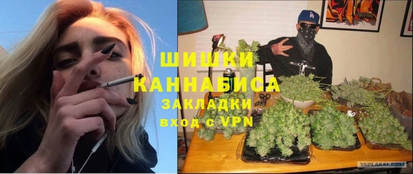 ГАЛЛЮЦИНОГЕННЫЕ ГРИБЫ Абаза