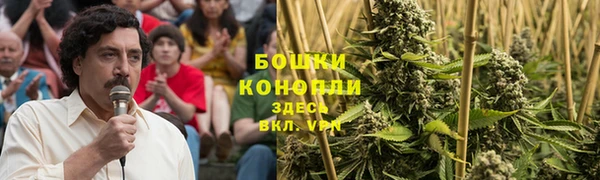 ГАЛЛЮЦИНОГЕННЫЕ ГРИБЫ Абаза