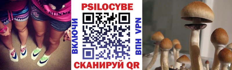 Галлюциногенные грибы мухоморы  KRAKEN ONION  Ртищево 
