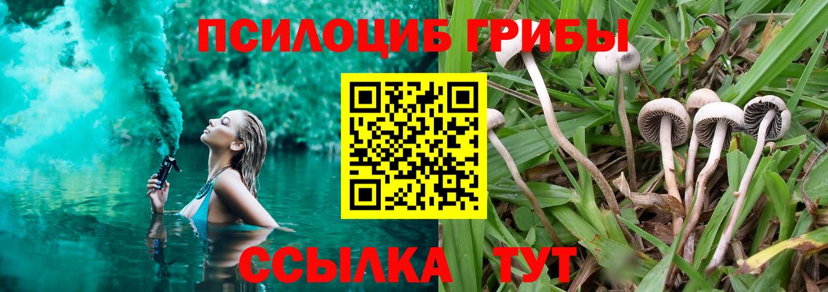 Ртищево  Псилоцибиновые грибы GOLDEN TEACHER  Вход с VPN 