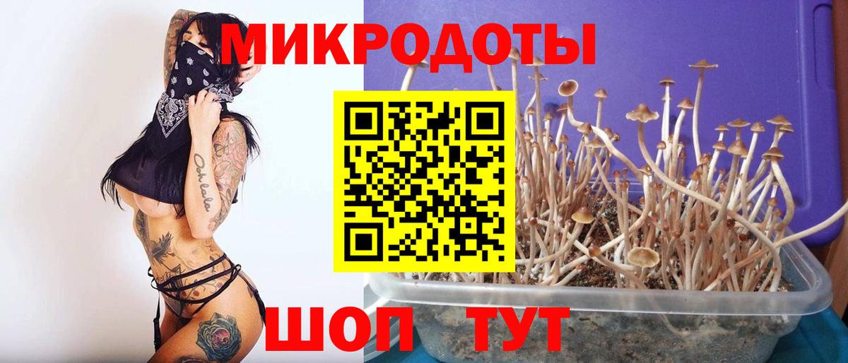 Псилоцибиновые грибы MAGIC MUSHROOMS Ртищево