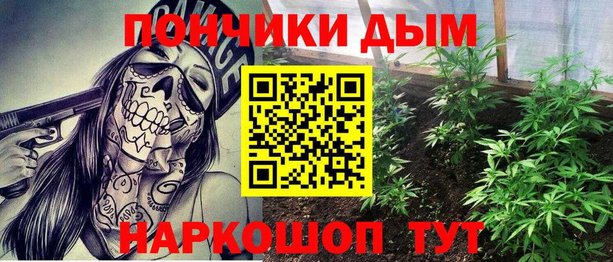 Бошки Шишки ГИДРОПОН  Конопля марихуана  Вход с VPN  Бошки Шишки индика  Ртищево 